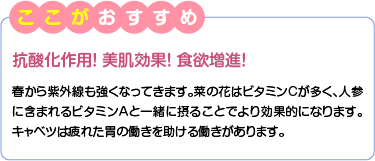 ここがおすすめ　抗酸化作用！ 美肌効果！ 食欲増進！　春から紫外線も強くなってきます。菜の花はビタミンCが多く、人参に含まれるビタミンAと一緒に摂ることでより効果的になります。キャベツは疲れた胃の働きを助ける働きがあります。